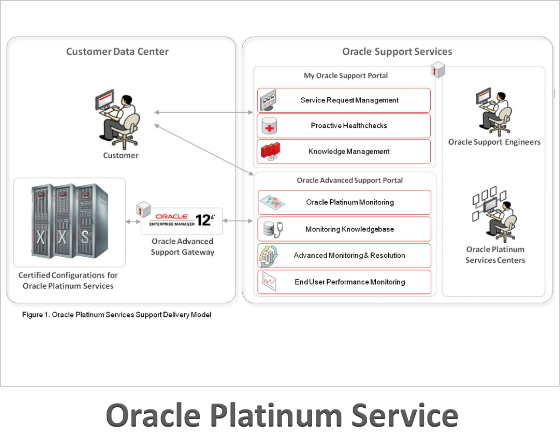 Oracle Platinum Service